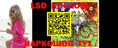 гидра Волгодонск