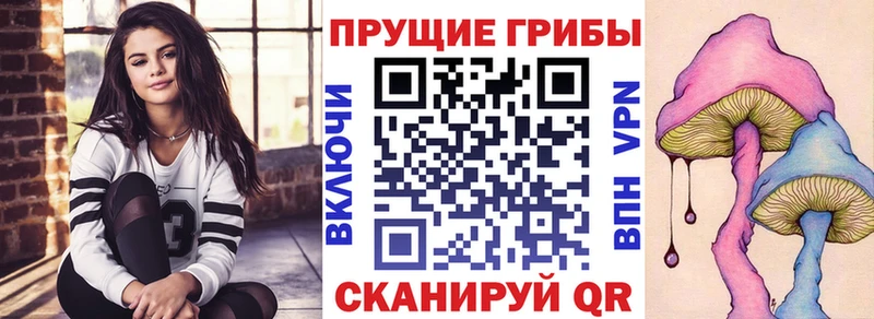 маркетплейс Telegram Ноябрьск Галлюциногенные грибы Cubensis дарнет шоп