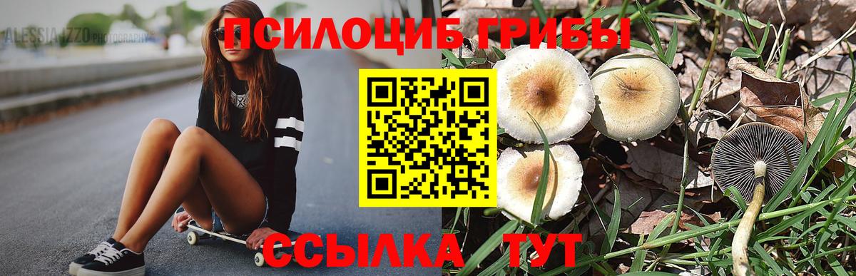 Галлюциногенные грибы Psilocybine cubensis  Вход с VPN  Ноябрьск  Галлюциногенные грибы мухоморы 